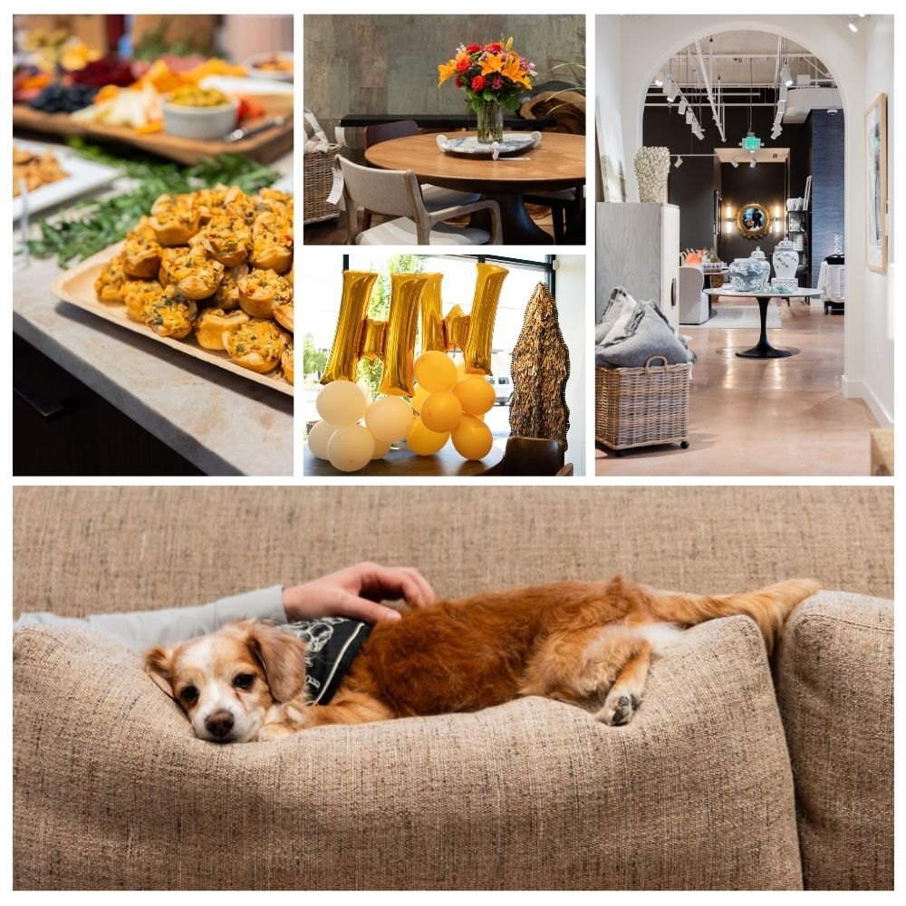 Grand opening moments: neighborhood hospitality, showroom interiors and Novak being petted on a sofa